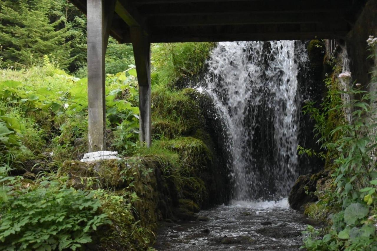 Wooden House With A Waterfall "Stipanov Mlin" Villa Plitvička Jezera Esterno foto